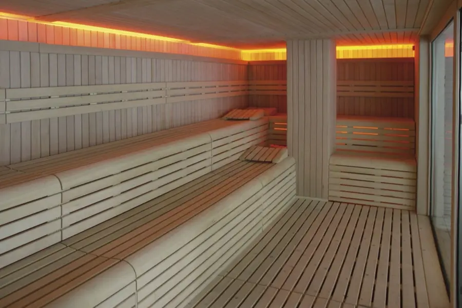 sauna-selecte-hemlock-proyecto